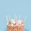 Candles pastel skinny candles C/12