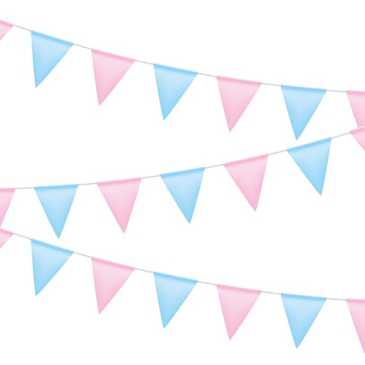 [5056/4] Banderines Rosa y Azul