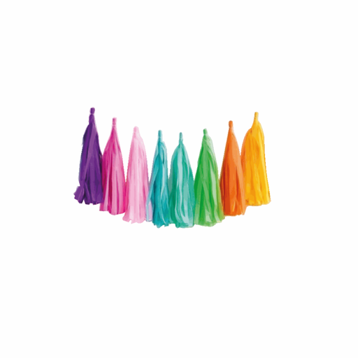 [50.5417/2] Guirnalda Pompones Colores C/10